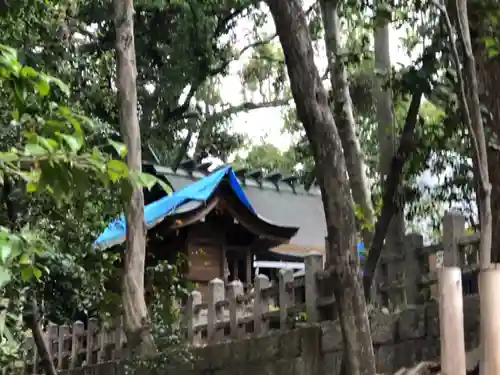木嶋坐天照御魂神社の本殿・本堂