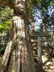 北野神社のその他建物(2023年11月11日(土) 15時48分54秒投稿)