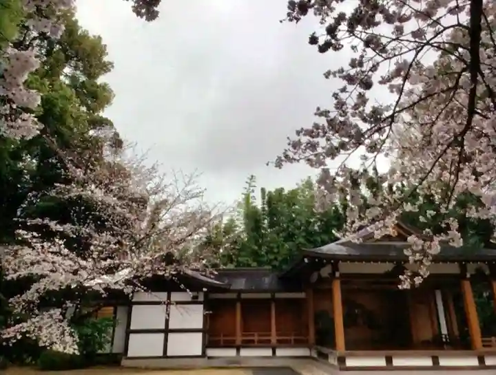 阿佐ヶ谷神明宮(東京都)