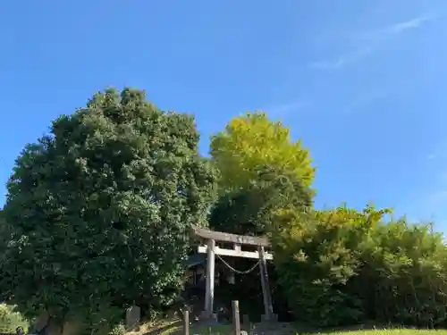 國常立神社の鳥居