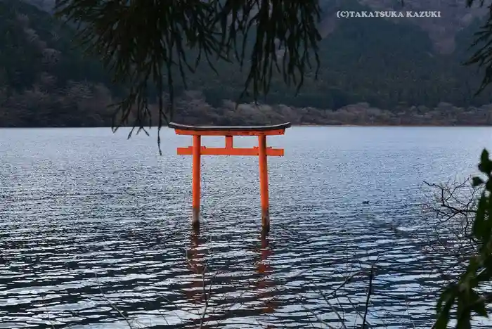 九頭龍神社本宮の鳥居