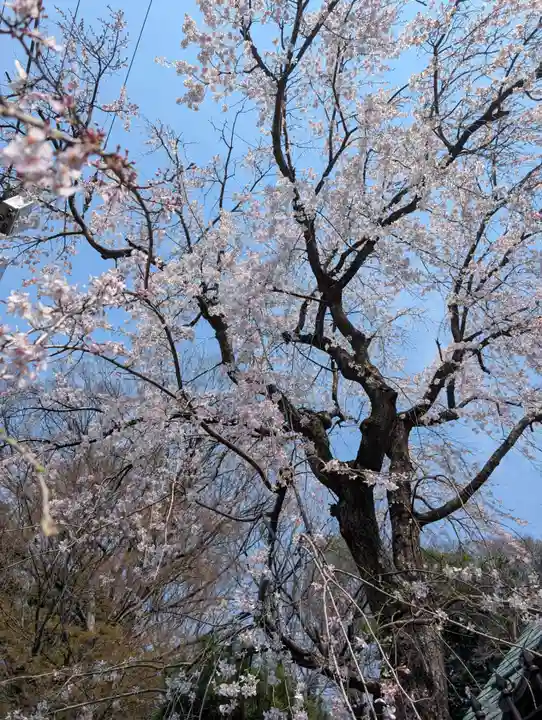 妙見堂(東京都)