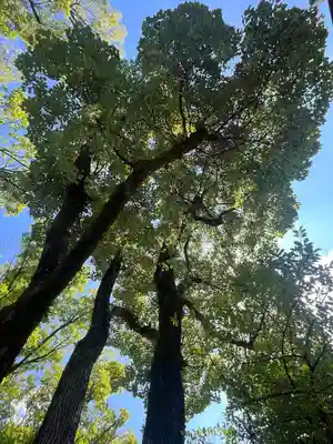 安井金比羅宮(京都府)