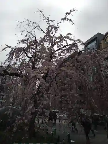 五條天神社の自然