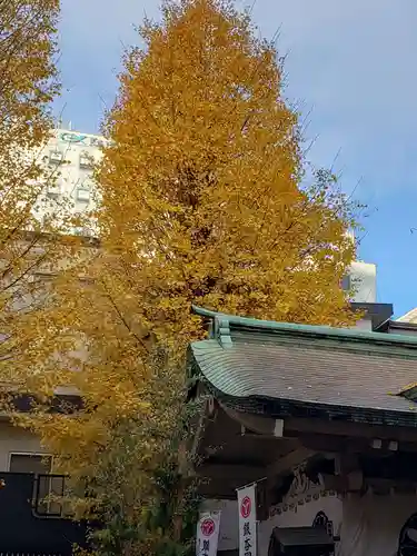 銀杏岡八幡神社の本殿・本堂