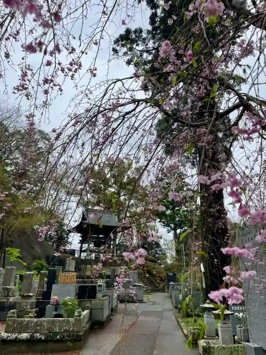 最福寺の{uncategorized: "未分類", other: "その他", undefined: "問題あり", building: "その他建物", grave: "お墓", sacred_gate: "鳥居", guardian: "狛犬", statue: "像", buddha: "仏像", history: "歴史", nature: "自然", garden: "庭園", animal: "動物", pagoda: "塔", temizu: "手水舎", mountain_gate: "山門・神門", sanctuary: "本殿・本堂", subordinate: "末社・摂社", art: "芸術", scenery: "景色", jizo: "地蔵", ema: "絵馬", goshuin: "御朱印", omikuji: "おみくじ", items: "授与品その他", amulet: "お守り", goshuincho: "御朱印帳", eats: "食事", festival: "お祭り", votive_dance: "神楽", shichigosan: "七五三参", wedding: "結婚式", experience: "体験その他", initially: "初詣", around: "周辺", anti_infection: "感染症対策"}