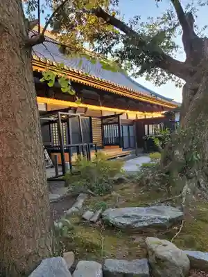 大杉神社の本殿・本堂