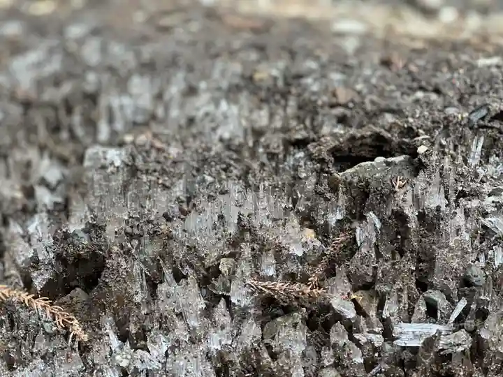 村山浅間神社(静岡県)