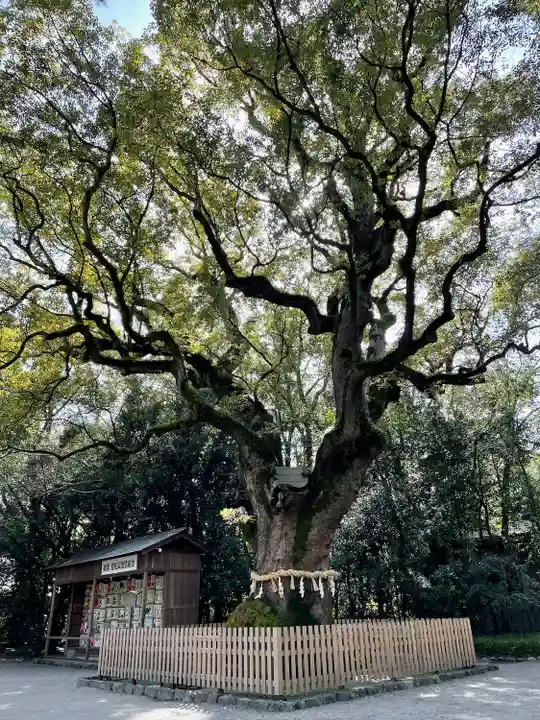 熱田神宮の自然