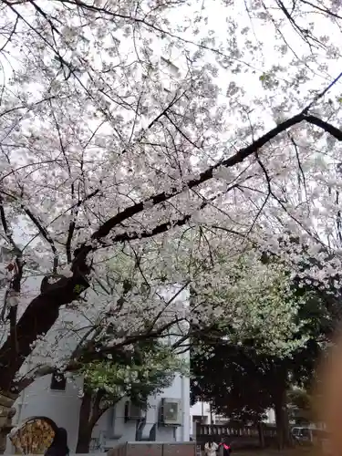 花園神社の自然
