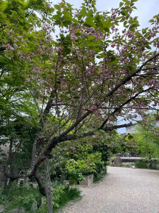 元興寺(奈良県)