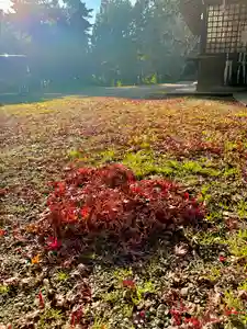 蚊里田八幡宮(長野県)(2025年11月22日(土) 19時39分52秒投稿)