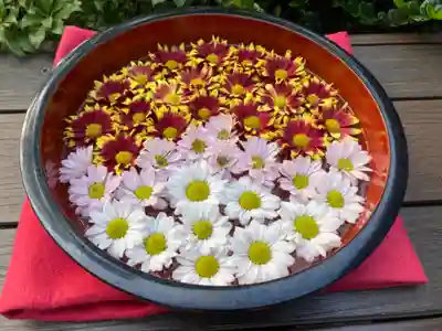 増上寺塔頭 三縁山 宝珠院の手水舎