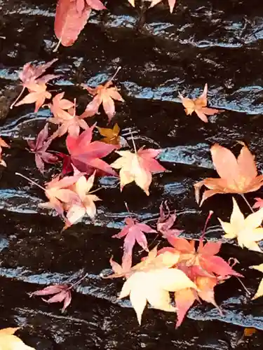 志波彦神社・鹽竈神社の自然
