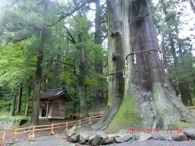 河口浅間神社(山梨県)