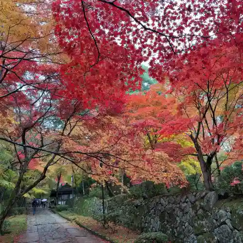 金剛輪寺(滋賀県)