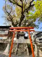 大神社(芳養王子跡)の鳥居