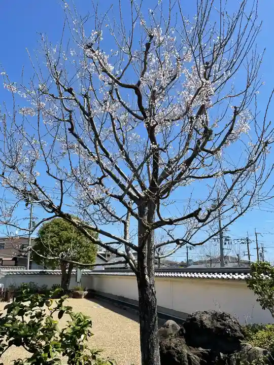 寳珠院(宝珠院)の自然