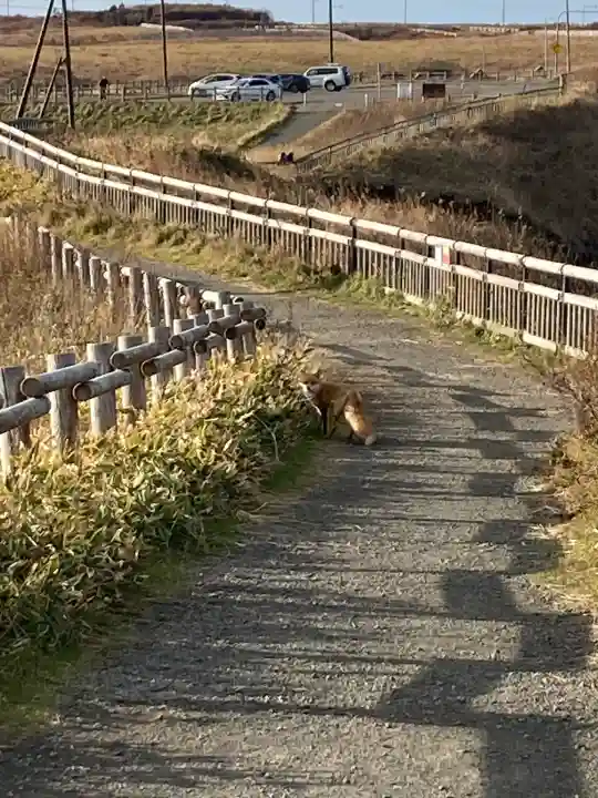 霧多布神社(北海道)