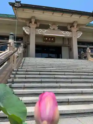 大長寺(埼玉県)