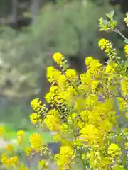 子檀嶺神社の自然