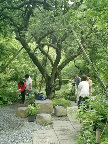 光則寺の庭園