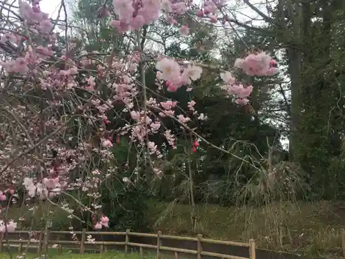 宗任神社の自然