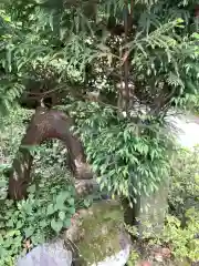 泥江縣神社(愛知県)