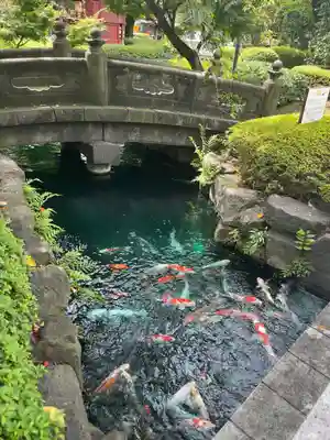 浅草寺(東京都)