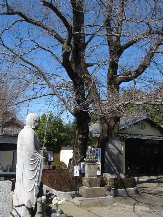 真光寺(千葉県)