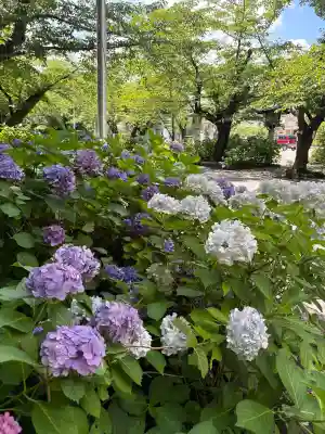 愛知縣護國神社(愛知県)