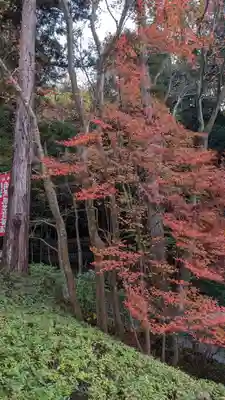 今熊野観音寺(京都府)