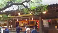 八菅神社の本殿・本堂
