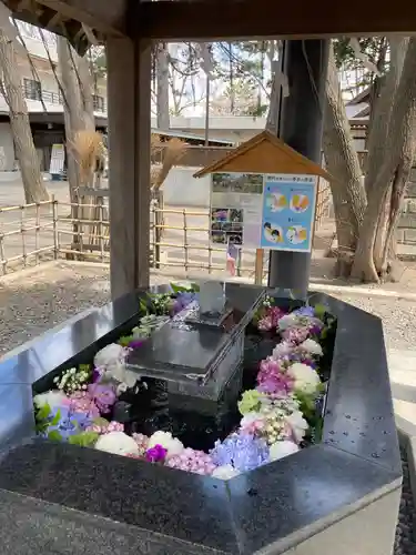 新琴似神社の手水