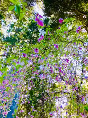 愛宕神社(茨城県)