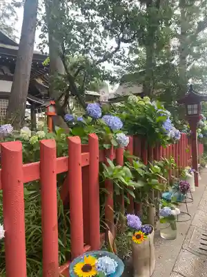川越八幡宮(埼玉県)