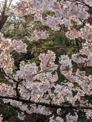 神明氷川神社(東京都)