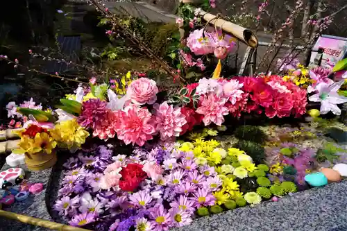 陽林寺の手水舎