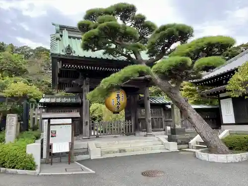 長谷寺の山門・神門