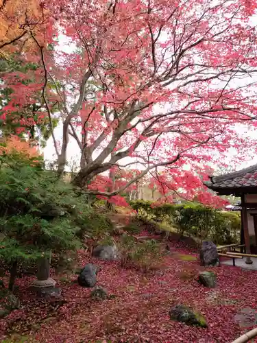 榮攝院（栄摂院）(京都府)