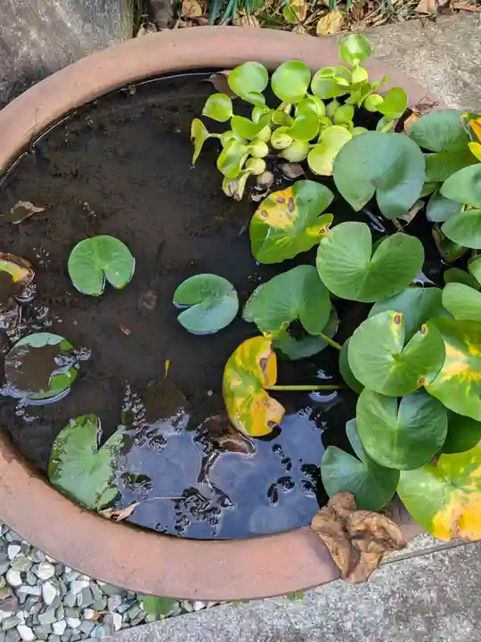 妙経寺(東京都)