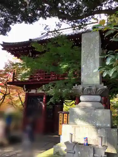 本土寺の山門