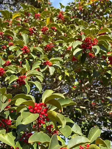 鷲神社(茨城県)