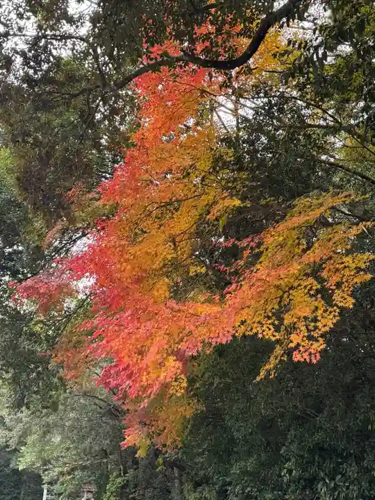 伊勢神宮内宮(皇大神宮)(三重県)