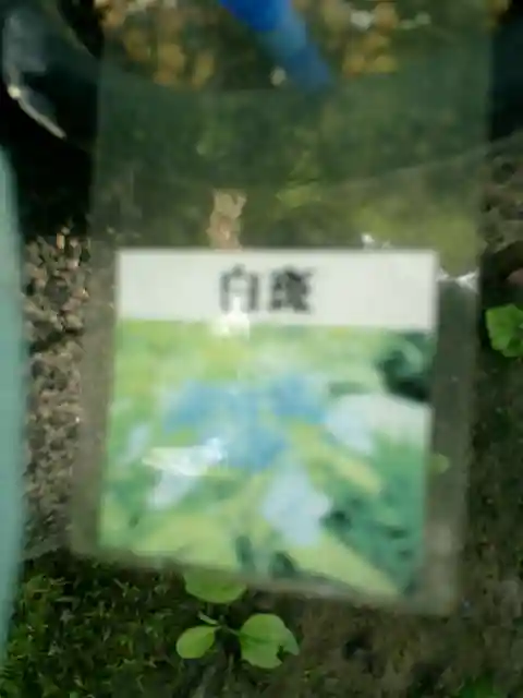 光則寺のその他建物