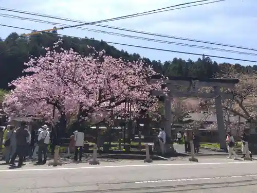 春日神社(京都府)