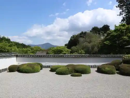 正伝護国禅寺(正伝寺･正傳寺)(京都府)