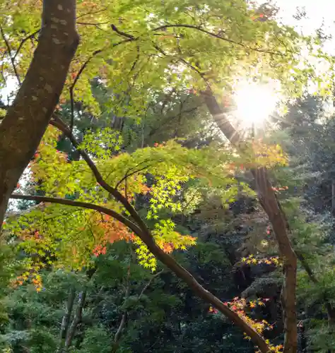 大矢田神社(岐阜県)