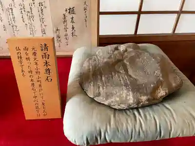 隨心院(随心院)(京都府)