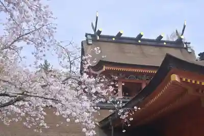富士山本宮浅間大社(静岡県)